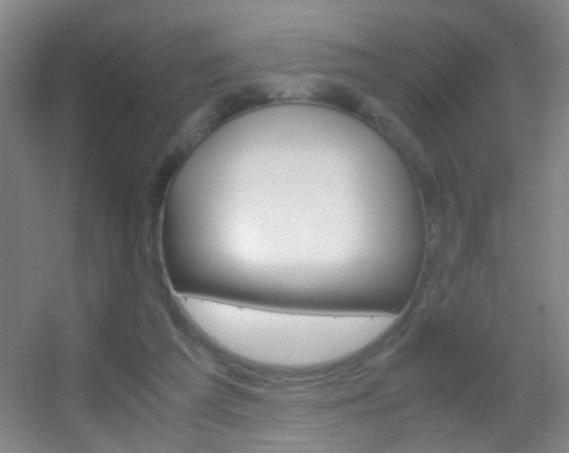 X0000055510209200508120804