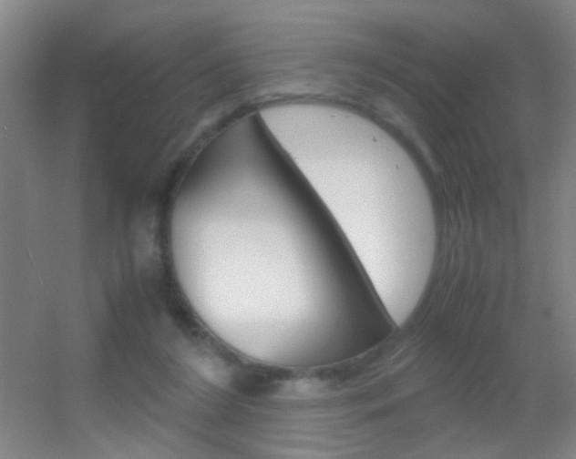 X0000055510212200508120804