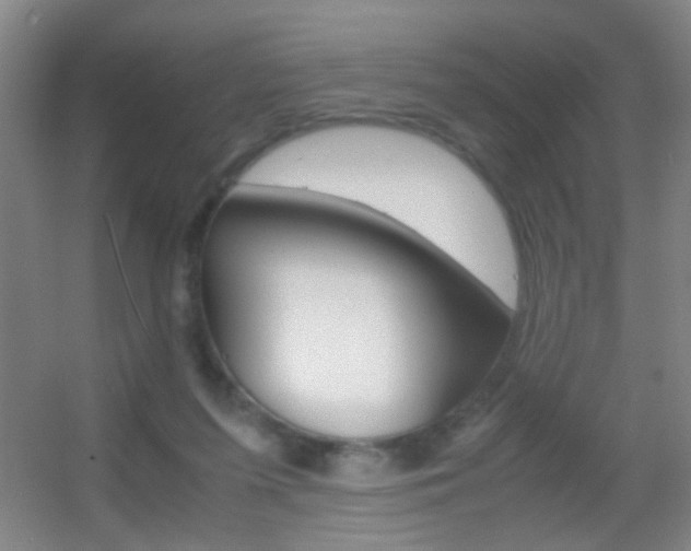 X0000055510215200508120804