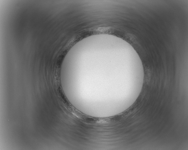 X0000055510236200508120804
