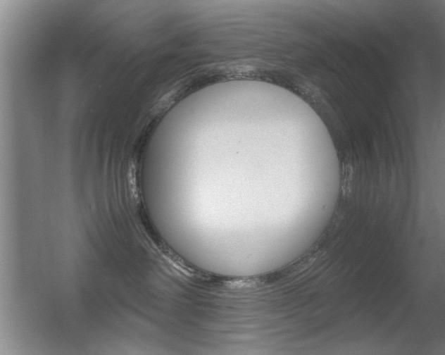 X0000055510238200508120804