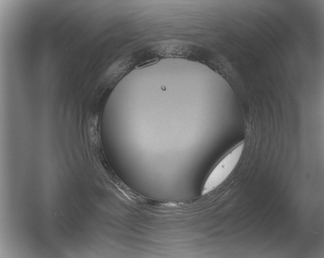 X0000055510239200508120804