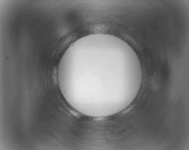 X0000055510240200508120804