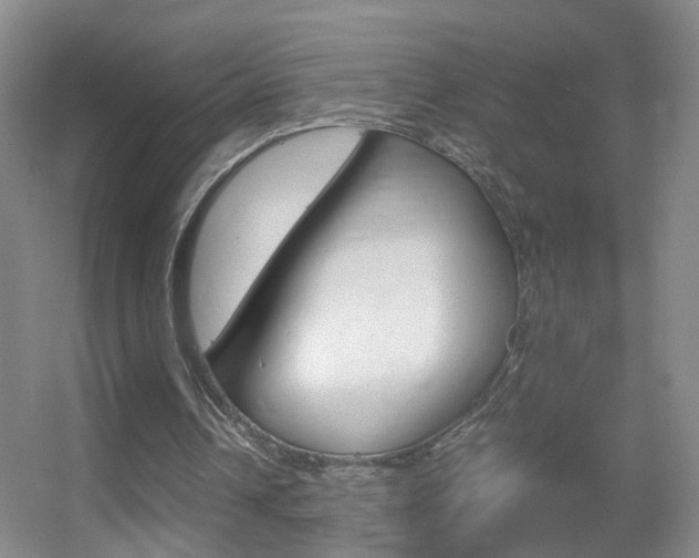 X0000055510242200508120803