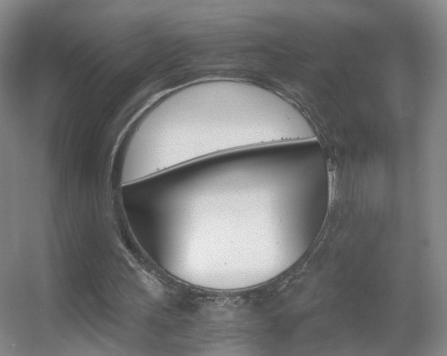 X0000055510243200508120803