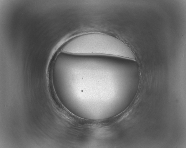 X0000055510246200508120803