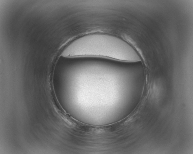 X0000055510249200508120803