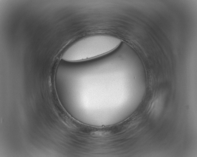 X0000055510251200508120803
