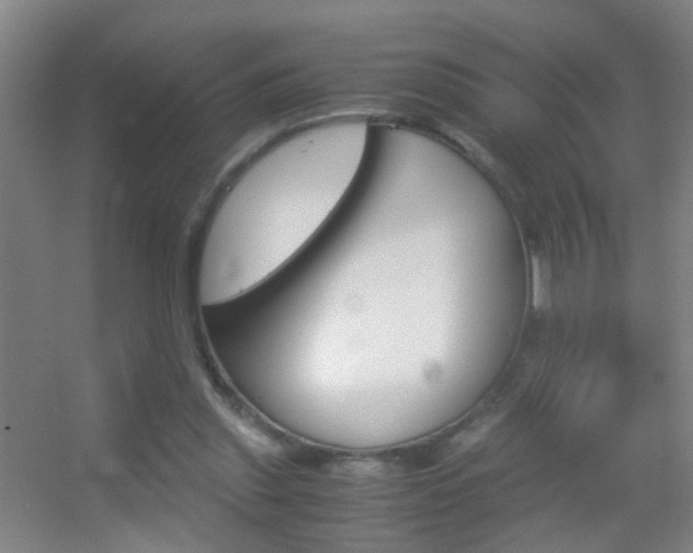 X0000055510253200508120803