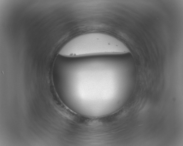 X0000055510258200508120803