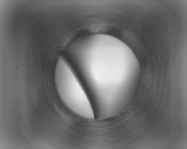 X0000055510263200508120803