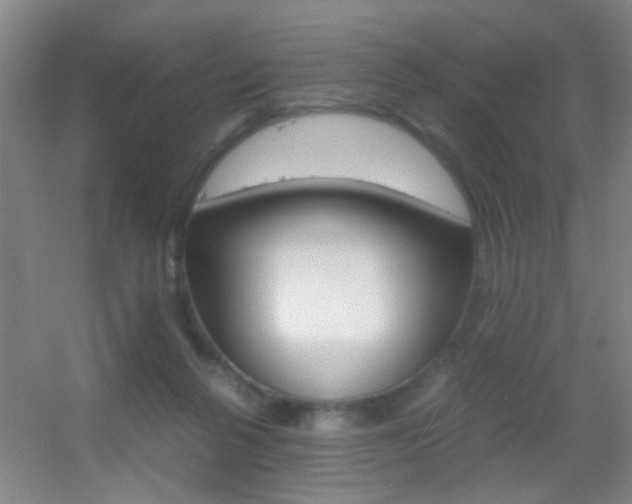 X0000055510264200508120803