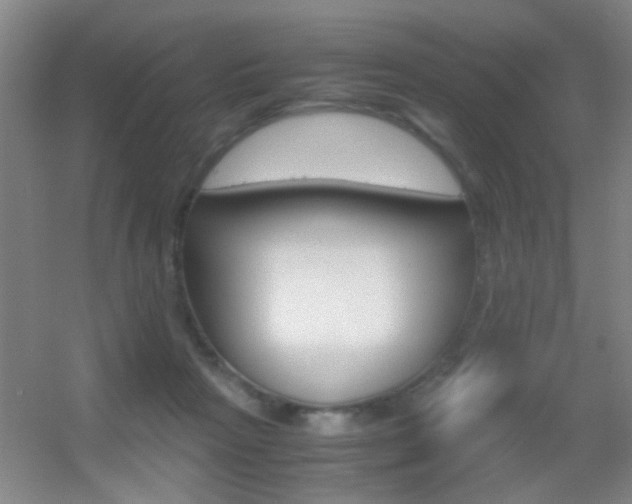 X0000055510265200508120803
