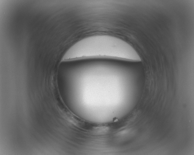 X0000055510266200508120803
