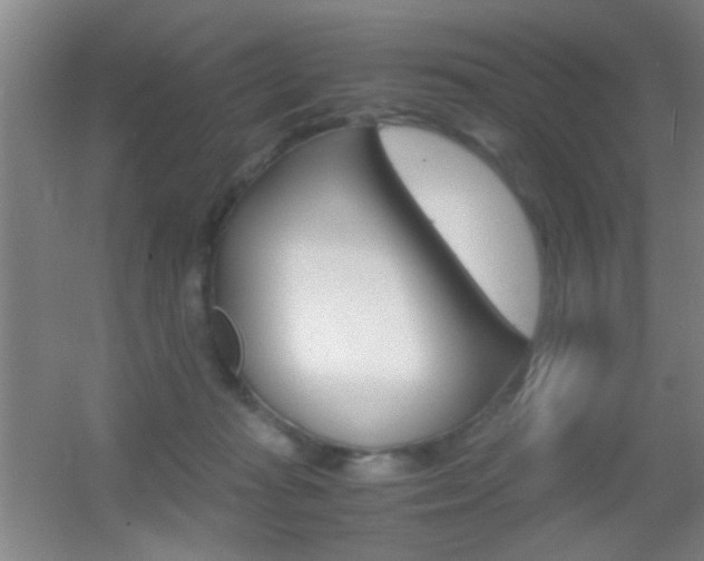 X0000055510269200508120803