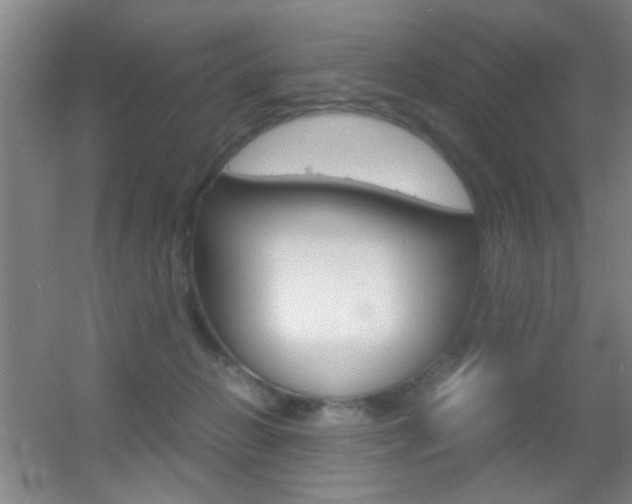 X0000055510270200508120803
