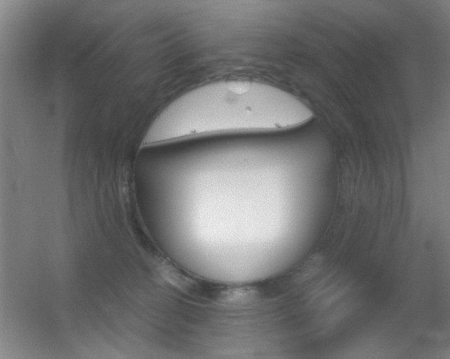 X0000055510274200508120803