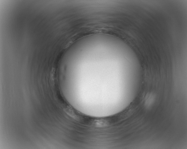 X0000055510275200508120803