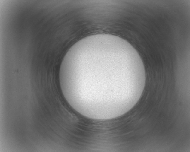 X0000055510276200508120803