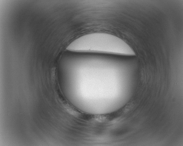 X0000055510278200508120803