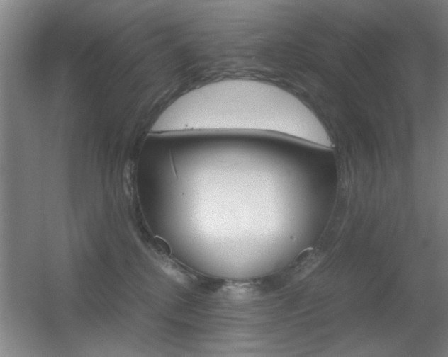 X0000055510280200508120803
