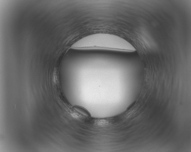 X0000055510287200508120804
