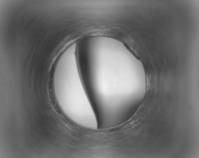 X0000055510291200508120803