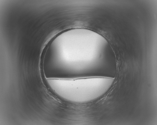 X0000055510292200508120803