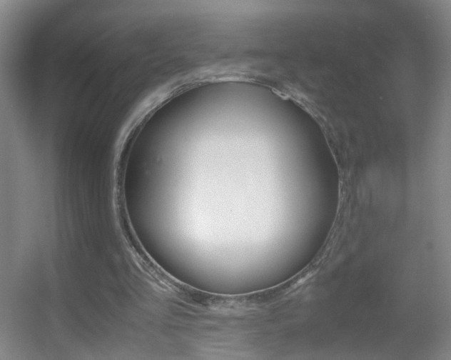X0000055510293200508120803