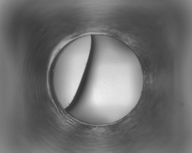 X0000055510294200508120803