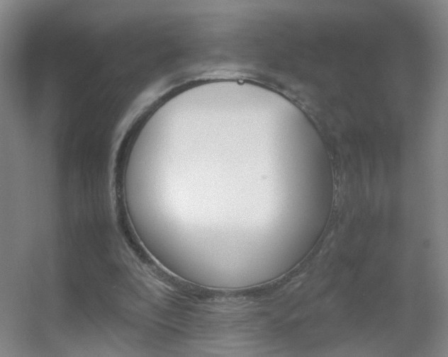 X0000055510296200508120803