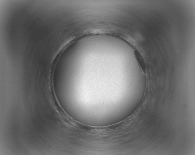 X0000055510297200508120803