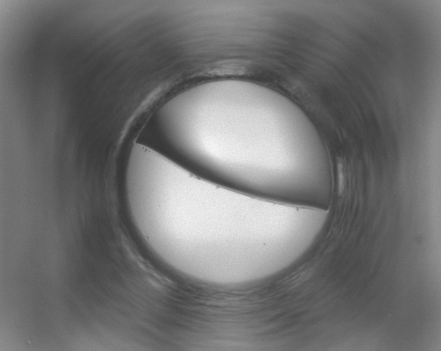 X0000055510300200508120803