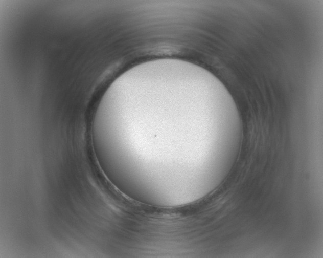 X0000055510304200508120802