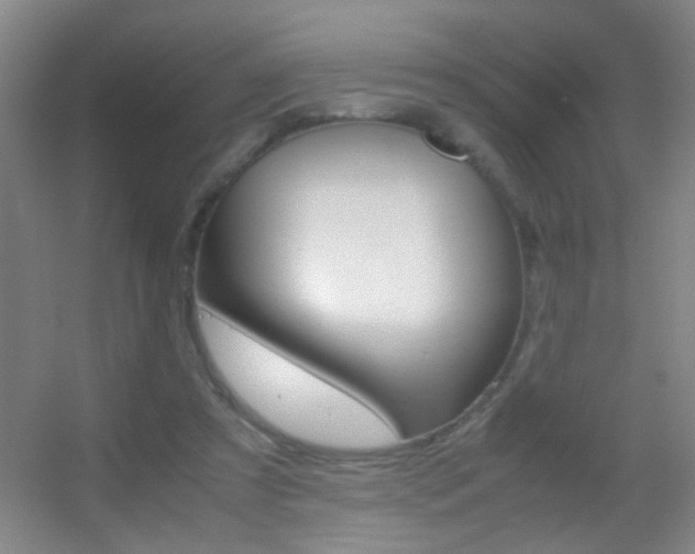 X0000055510305200508120802