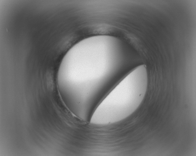 X0000055510312200508120802