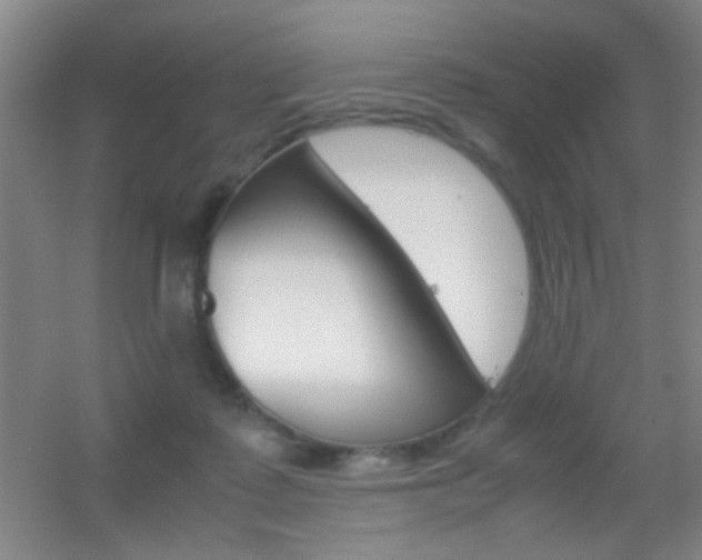 X0000055510315200508120802