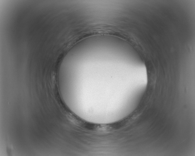 X0000055510321200508120802