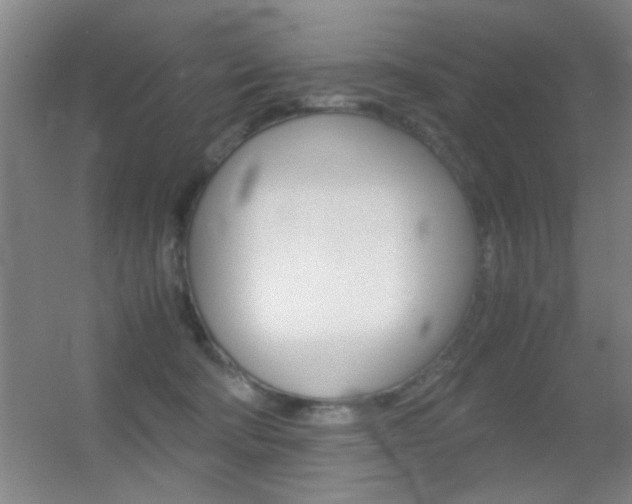 X0000055510322200508120802