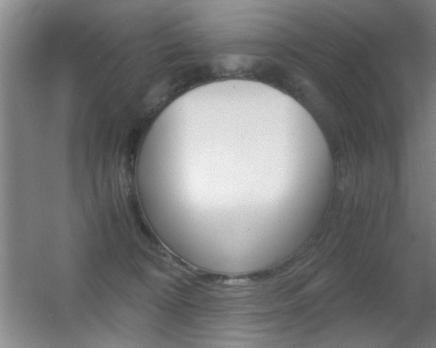 X0000055510324200508120802