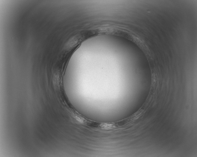 X0000055510333200508120802