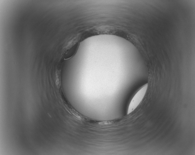 X0000055510335200508120802