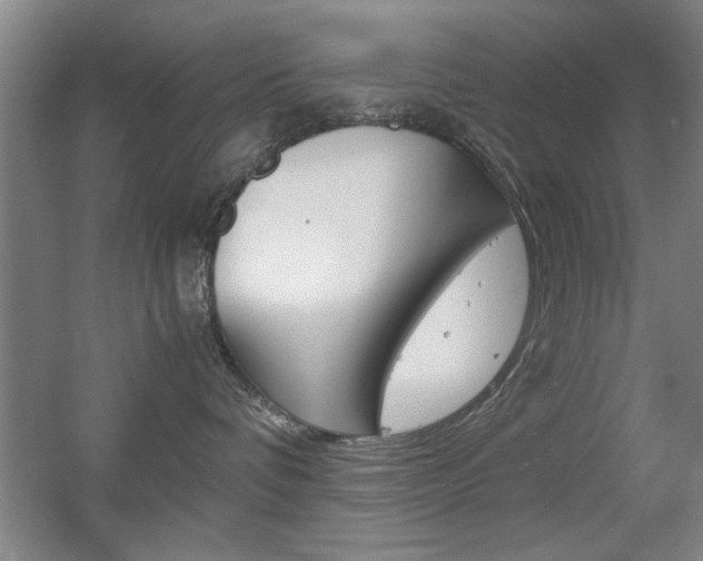 X0000055510336200508120802