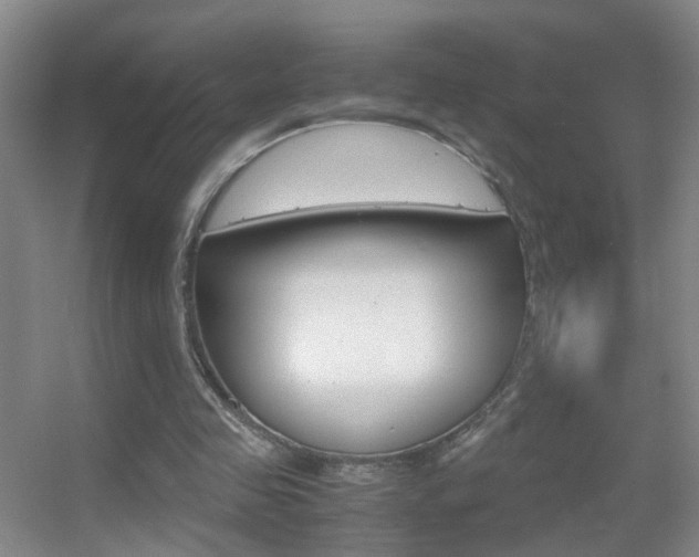 X0000055510341200508120801