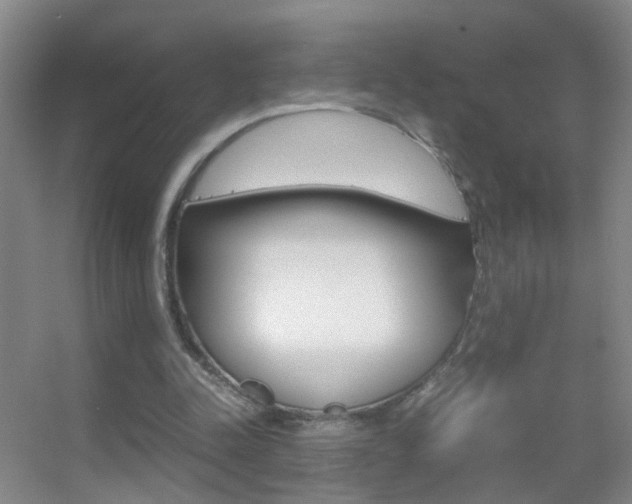 X0000055510342200508120801