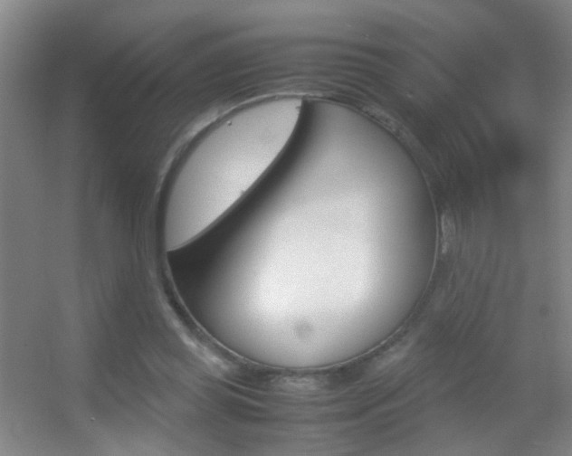X0000055510349200508120801