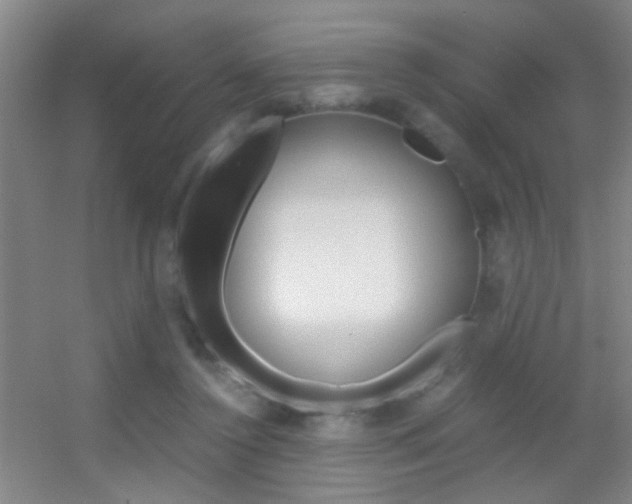 X0000055510356200508120801