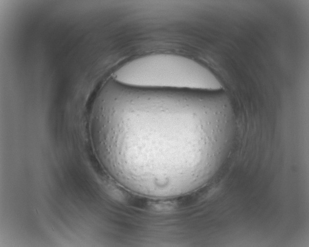X0000055510359200508120802