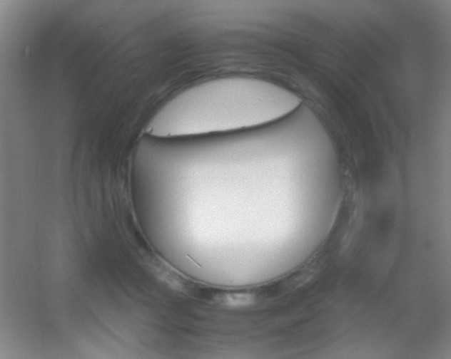 X0000055510361200508120802