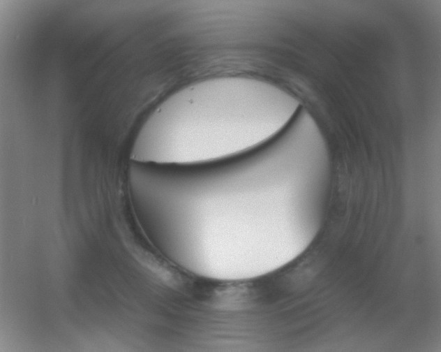 X0000055510362200508120802